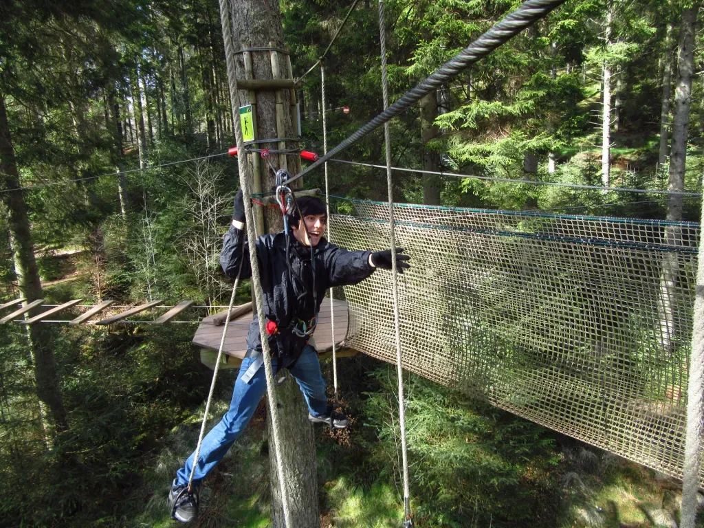 Go Ape Grizedale photo 1