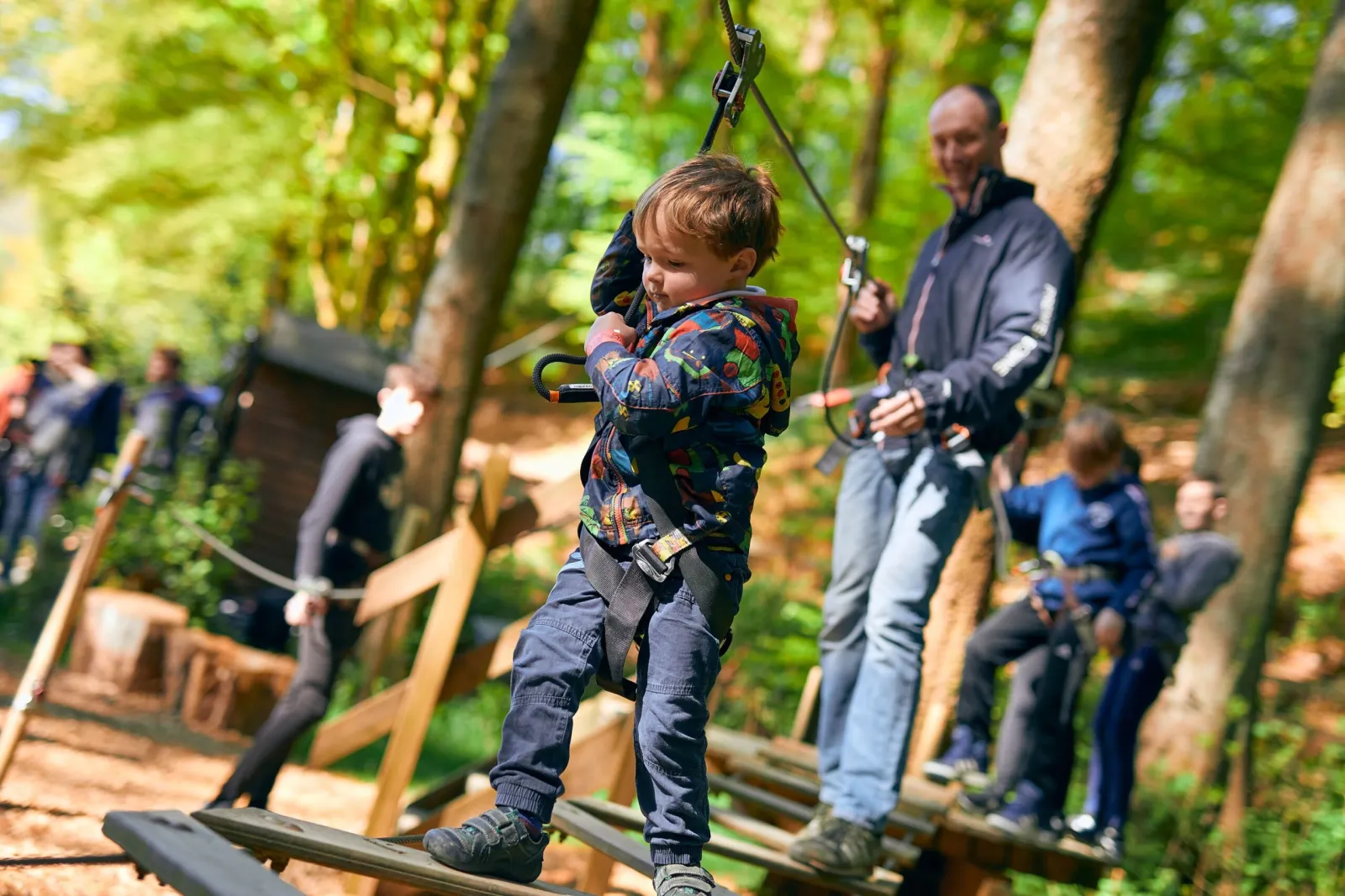Go Ape Grizedale photo 3