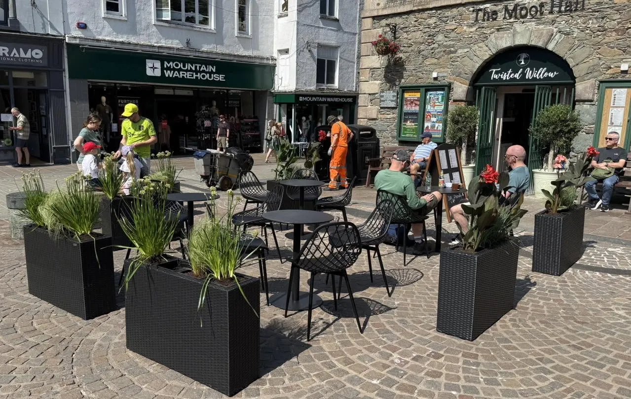 Twisted Willow at the Moot Hall