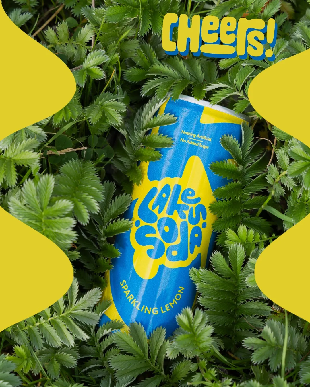 Lakes Soda photo 3