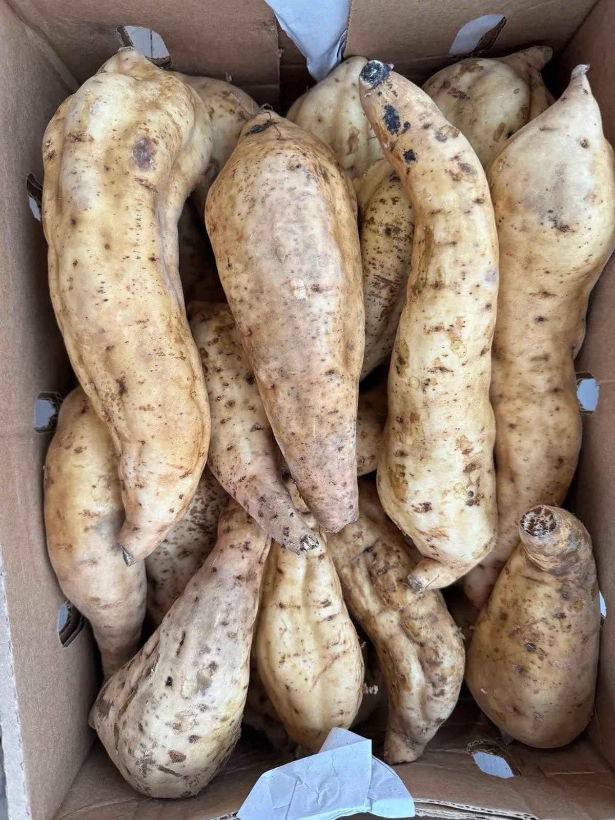 Mama Ibeji Afro Caribbean Grocers photo 3