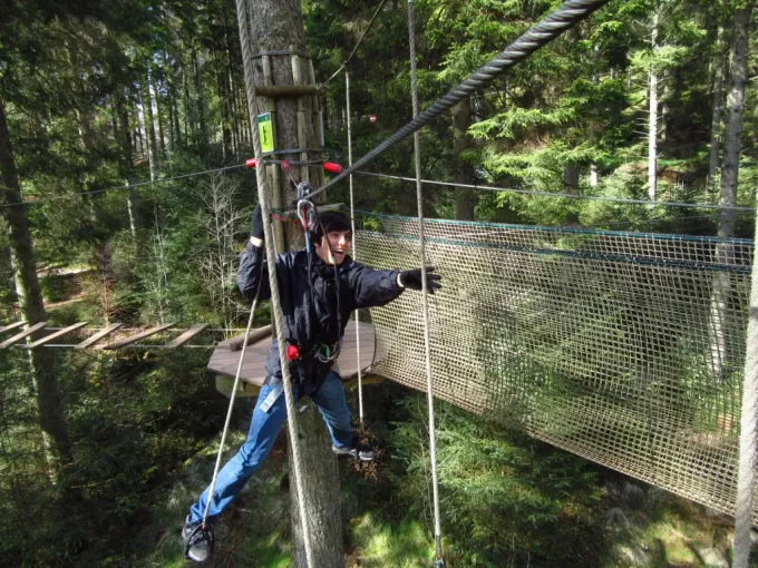 Go Ape Grizedale