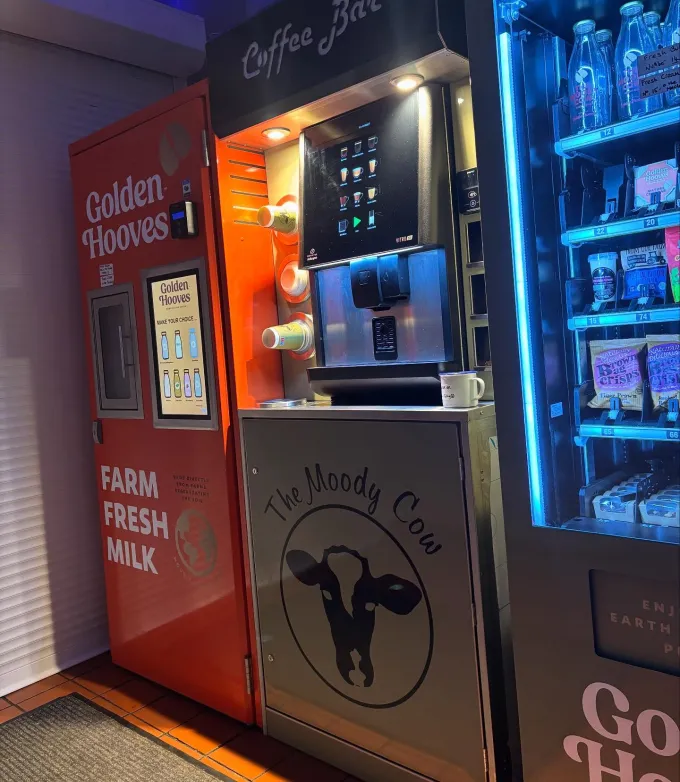 The Moody Cow