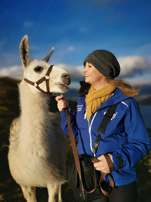 Alpacaly Ever After