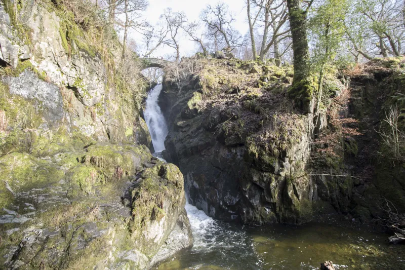 Aira Force