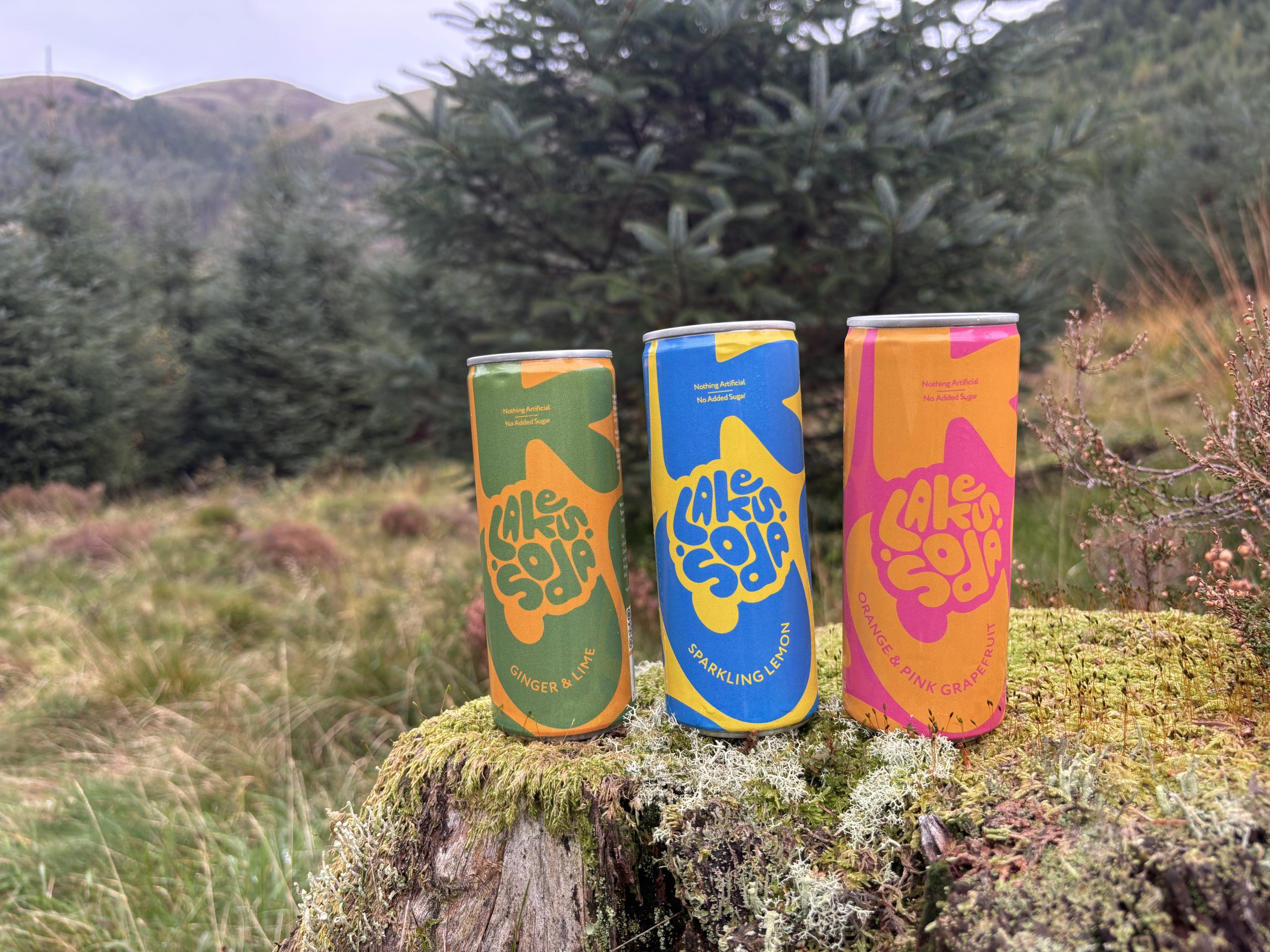 The Lakes Soda Trio